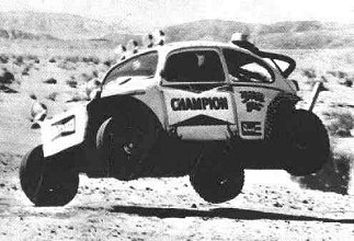 Buggy Beetle