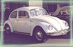 My actual Beetle My actual Beetle