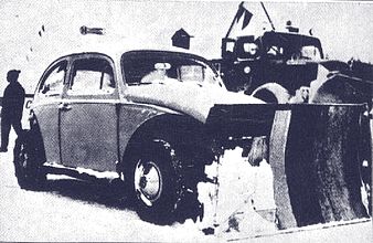 Snow car Beetle