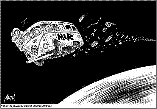 beetle cartoons 6