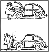 beetle cartoons 7